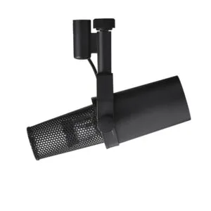 Micro vocal shure sm7b