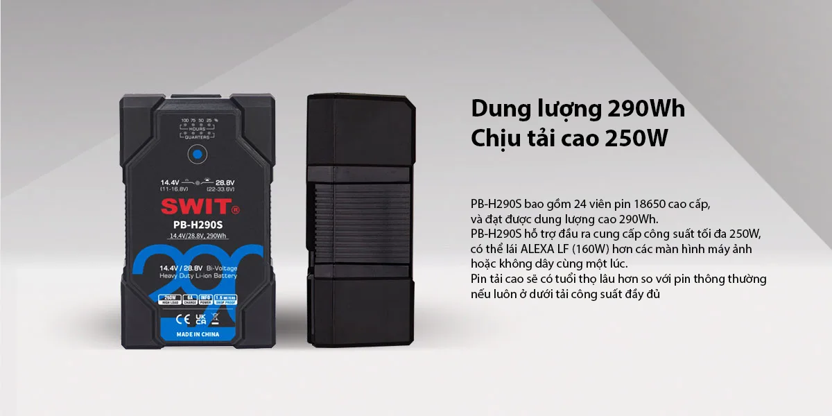 Swit PB-H290S