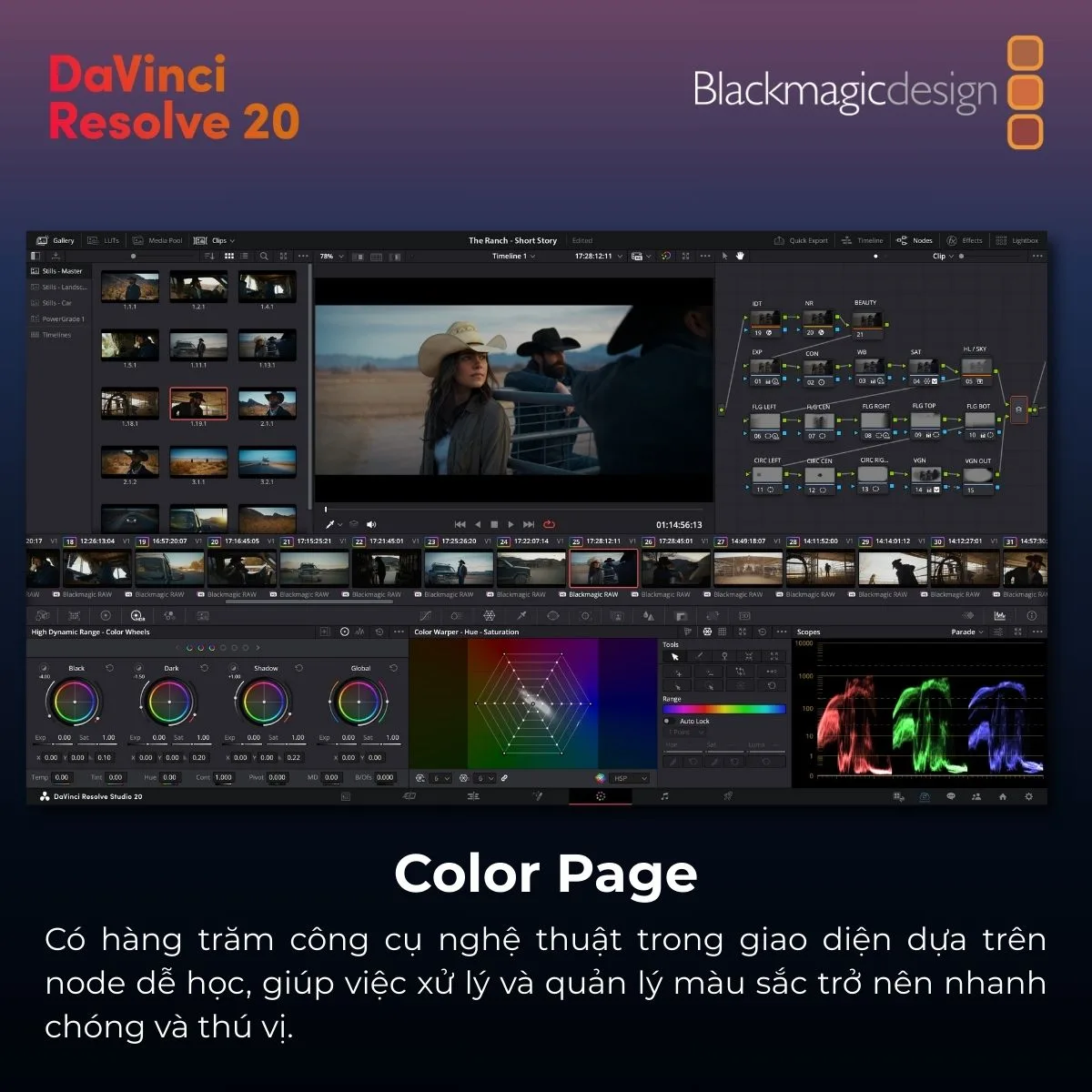 DAVINCI RESOLVE 20