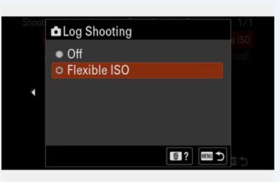 sony fx2