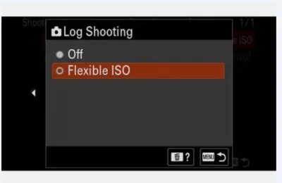 sony fx2