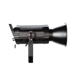 swit bl-300