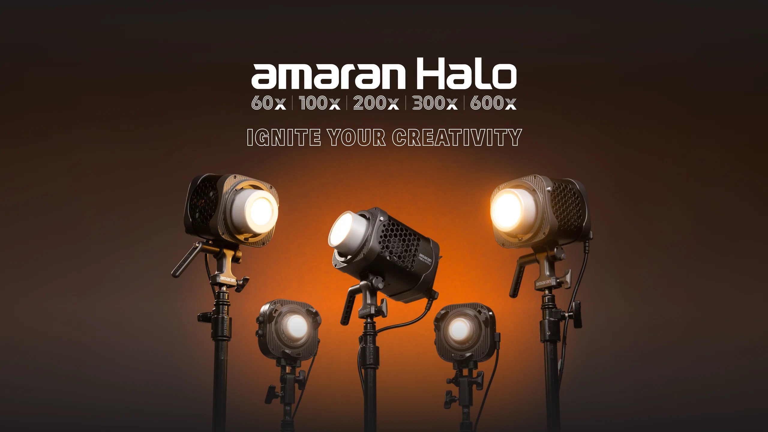 amaran halo series