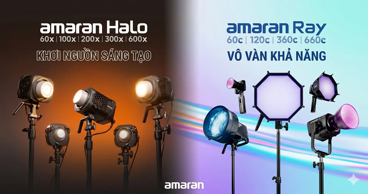 amaran halo vs ray