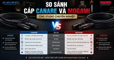 Canare vs Mogami: So Sánh Cáp Âm Thanh Chuyên Nghiệp — Nên Chọn Loại Nào?