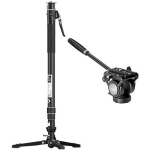 Chân Đơn YC Onion Pineta Pro Carbon + FH60S