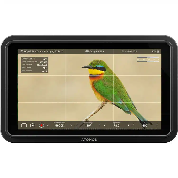 Atomos Shinobi ii